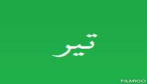 خصوصیات دقیق متولدین تیر ماه