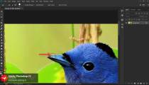 آموزش ابزار انتخاب Quick در فتوشاپ