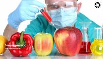 برنامه "میدونستی" قسمت چهارم - تخمه ژاپنی ربطی به ژاپن ندارد !!-دوبله فارسی
