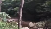 دیکلمه عاشقانه و بسیار زیبا،احمد شاملو