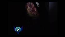 حریم وحشت (کلبه وحشت) - سما استار