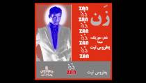 آهنگ شاد و زیبای "زن" با صدای پطروس تیت