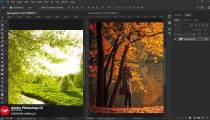 آموزش Adjustment ها در فتوشاپ - Desaturate & Match Color