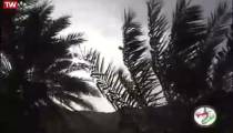 الفنان علي كاروني وياك اخذني