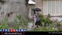 دانلود رایگان فیلم بنفشه افریقایی|FULL HD|4K|HQ|HD|1080p|720p|480p|فیلم بنفشه افریقایی|بنفشه افریقایی