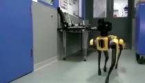 ربات سگ