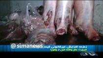زمزمه  افزايش قيمت گوشت