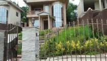 زیستگاه قرقاول ها در روستایی به نام خرفکل