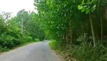 لذتی بی نظیر در سفر به دهستانی با رودی بزرگ