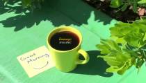 HAPPY Music - Cheerful Morning Music to Wake UP and Happiness