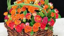 خرید و سفارش اینترنتی گل طبیعی در آمل