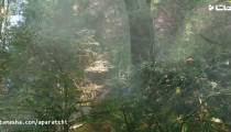 فیلم باغ اسرارآمیز The Secret Garden 2020 با زیرنویس فارسی