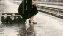 آهنگ ترکی غمگین