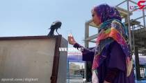 عاشقانه های نفیسه روشن - برای یک کلاغ
