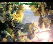 خدای گرگها 1-سروده استاد مرتضی کیوان هاشمی