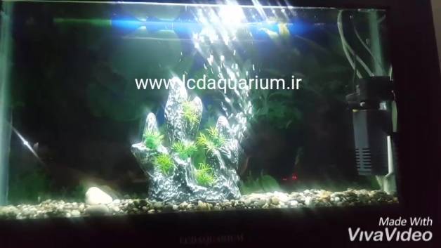 آکواریوم ال سی دی ( آکواریوم دیواری ) lcdaquarium 2