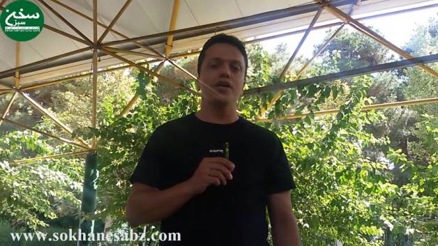 فن بیان، سخنرانی ، اعتماد به نفس